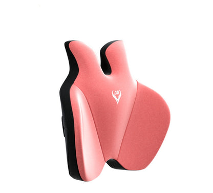 Premium Memory Foam Car Lumbar Support & Headrest Set