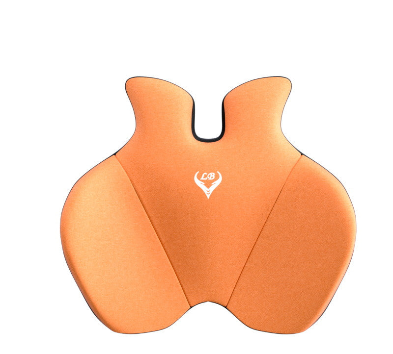 Premium Memory Foam Car Lumbar Support & Headrest Set