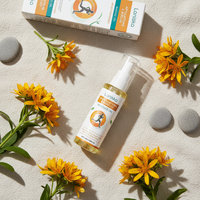 Botanical Ingredients Flat Lay